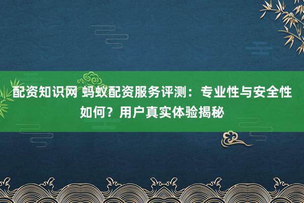 配资知识网 蚂蚁配资服务评测：专业性与安全性如何？用户真实体验揭秘
