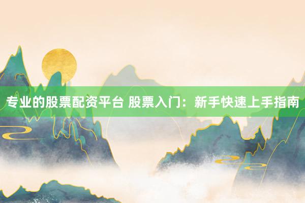 专业的股票配资平台 股票入门：新手快速上手指南