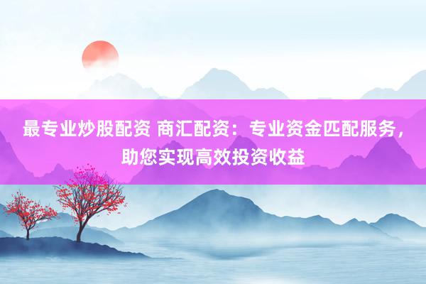 最专业炒股配资 商汇配资：专业资金匹配服务，助您实现高效投资收益