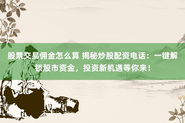 股票交易佣金怎么算 揭秘炒股配资电话：一键解锁股市资金，投资新机遇等你来！