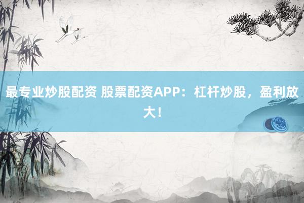 最专业炒股配资 股票配资APP：杠杆炒股，盈利放大！