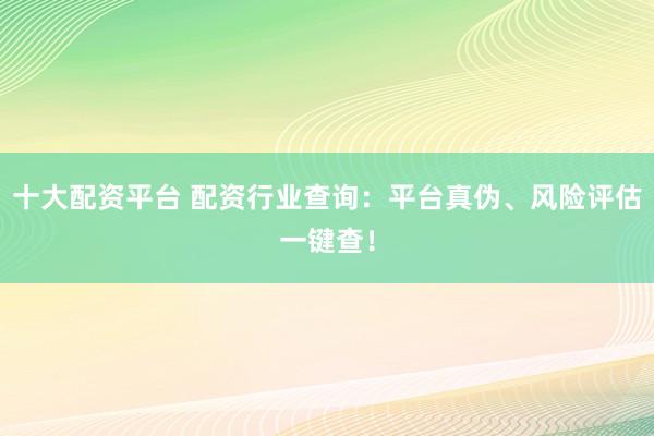 十大配资平台 配资行业查询：平台真伪、风险评估一键查！