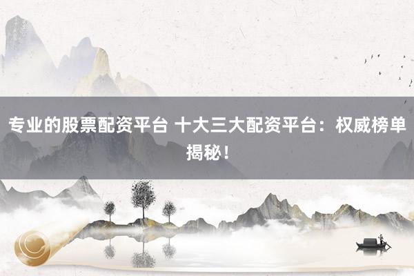 专业的股票配资平台 十大三大配资平台:权威榜单揭秘!
