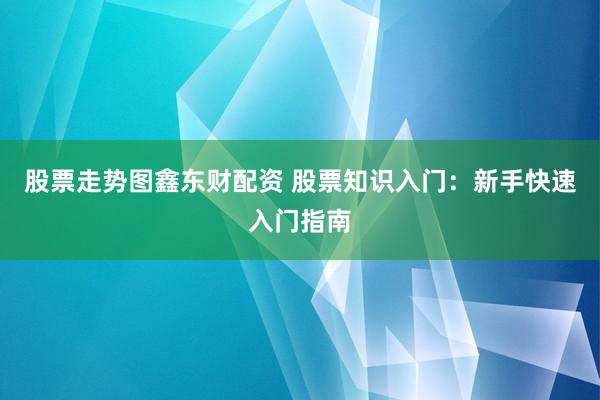 股票走势图鑫东财配资 股票知识入门:新手快速入门指南