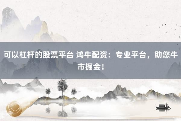 可以杠杆的股票平台 鸿牛配资:专业平台,助您牛市掘金!