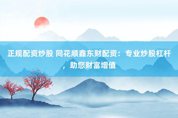 正规配资炒股 同花顺鑫东财配资：专业炒股杠杆，助您财富增值