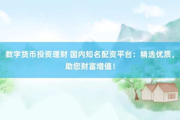 数字货币投资理财 国内知名配资平台：精选优质，助您财富增值！