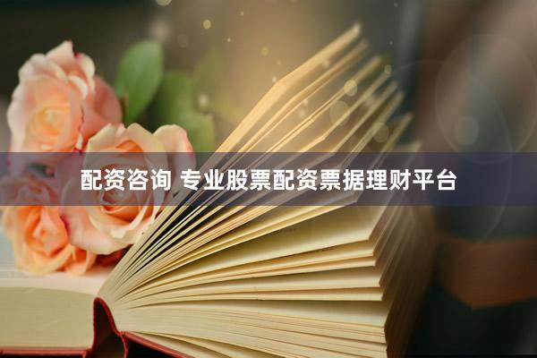 配资咨询 专业股票配资票据理财平台